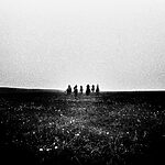 © Simon Vansteenwinckel