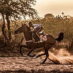 © Thomas Morel-Fort